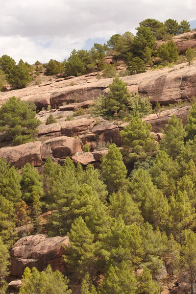 松の森、スペインの巨大な岩のある風景します。 — ストック写真