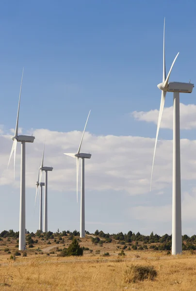 Energia eólica e moinhos de vento no campo. Espanha — Fotografia de Stock