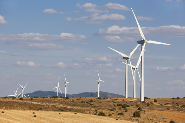 Wind energy and windmills in the countryside. Spain