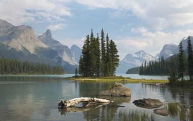 Ruh Adası Maligne gölde. Jasper. Kanada