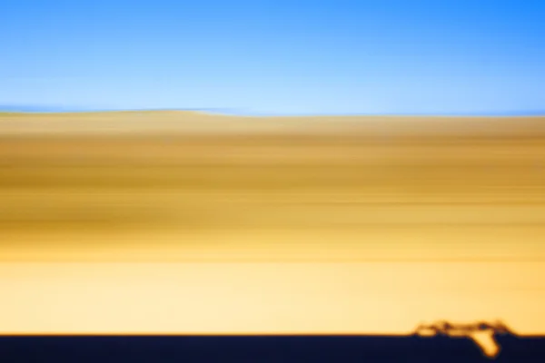 Yellow and blue landscape view from a train — Stock Photo, Image