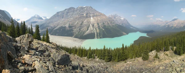 Peyto glacier lake i Klippiga bergen. Kanada — Stockfoto