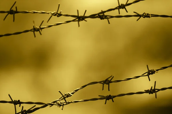 Barbed wire fence with out of focus background — Stock Photo, Image