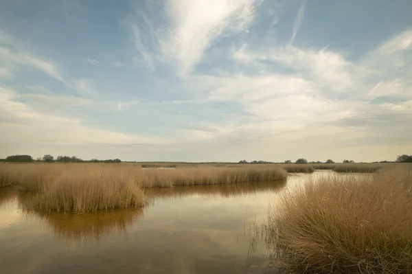 Wetland landscape in warm tone. Spain — Stock Photo, Image