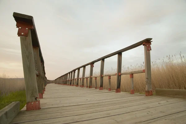 Wetland wooden pathway at sunset. Spain — Stock Photo, Image