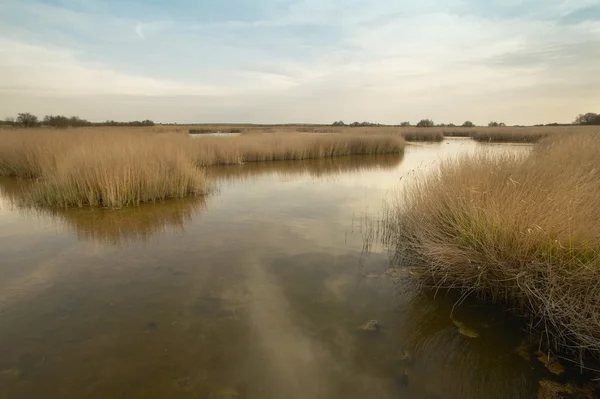 Wetland landscape in warm tone. Spain — Stock Photo, Image