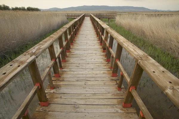 Wetland wooden pathway at sunset. Spain — Stock Photo, Image