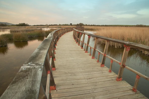 Wetland wooden pathway at sunset. Spain — Stock Photo, Image