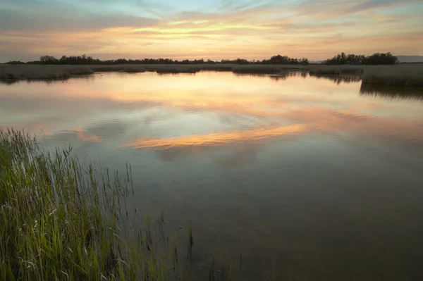 Wetland landscape in warm tone at sunset. Spain — Stock Photo, Image