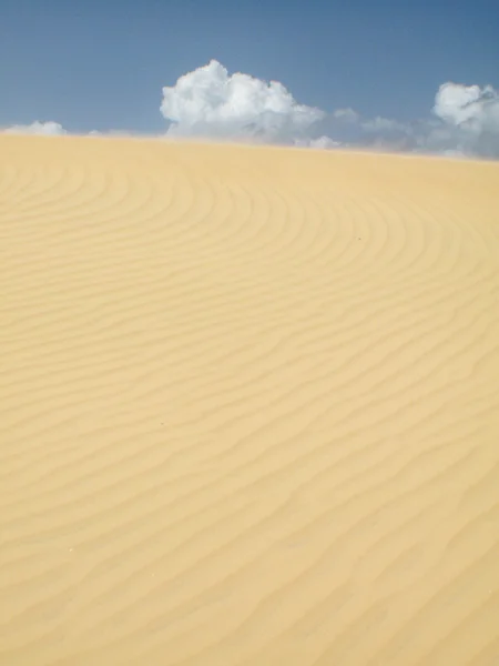 Kumullar ve göl manzara Lencois Maranhenses içinde. Brezilya — Stok fotoğraf