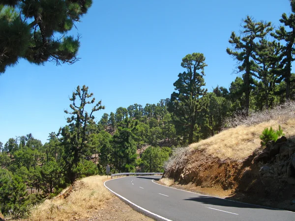 Carretera vacía en España. Islas Canarias. La Palma —  Fotos de Stock