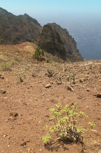 Gomera-Landschaft mit Felsen und Pflanzen. Kanarische Inseln — Stockfoto