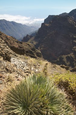 La Palma volkanik manzara. Caldera de Taburiente. İspanya