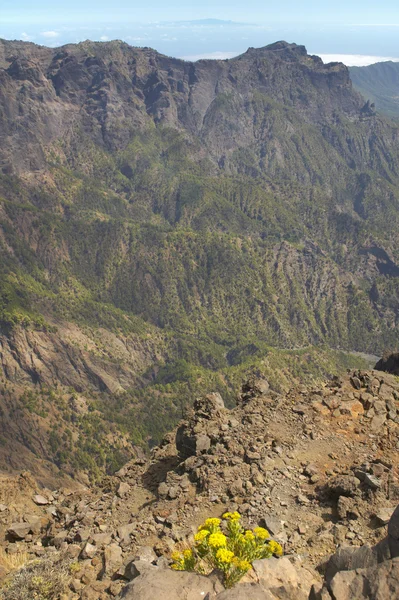 Pemandangan vulkanik di La Palma. Caldera de Taburiente. Spanyol — Stok Foto