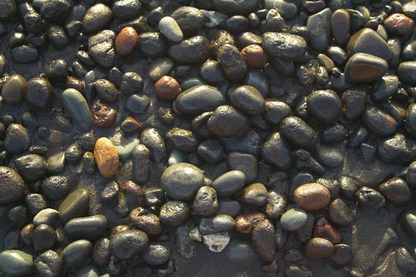 Sable et pierres dans la plage dans un ton chaud — Photo