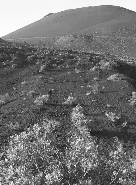 Vulkanische landschap in La Palma. Canarische eilanden. Spanje — Stockfoto