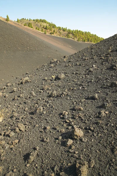Volcanic landscape in La Palma. Canary Islands. Spain — Stock Photo, Image