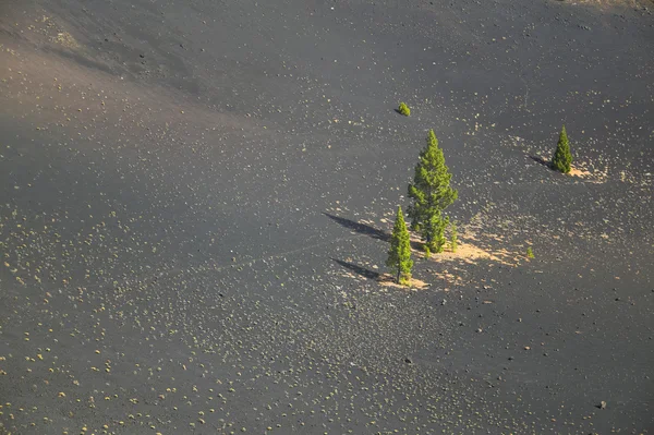 Vulkaniska landskapet i La Palma. Kanarieöarna. Spanien — Stockfoto