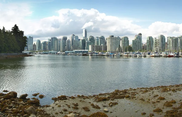 Línea del horizonte de Vancouver y paseo marítimo desde Stanley Park. Canadá —  Fotos de Stock