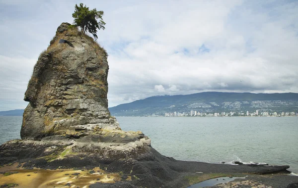 Vista desde Stanley Park en Vancouver. Canadá —  Fotos de Stock