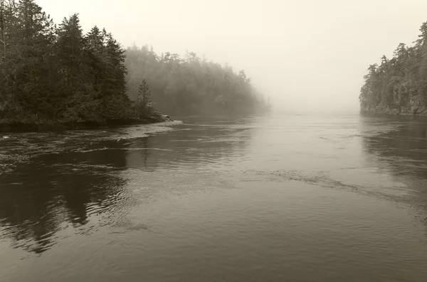景观与雾中棕褐色调。温哥华。加拿大 — 图库照片