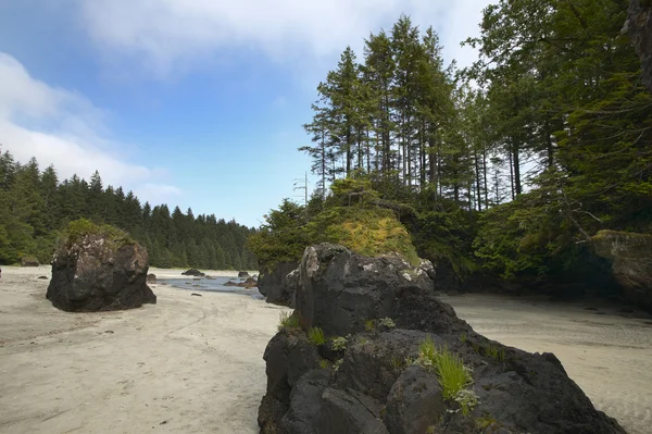 Paisagem em Cape Scott Park. Vancouver. Canadá — Fotografia de Stock