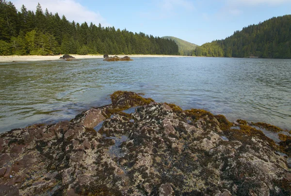 Landskap i Cape Scott Park. Vancouver. Kanada — Stockfoto