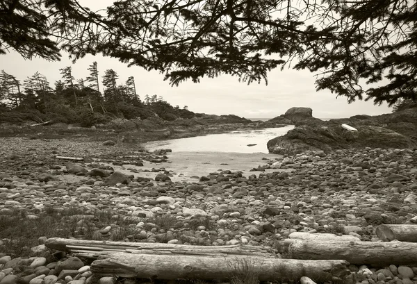 バンクーバー島を風景します。ブリティッシュ コロンビア州。カナダ — ストック写真