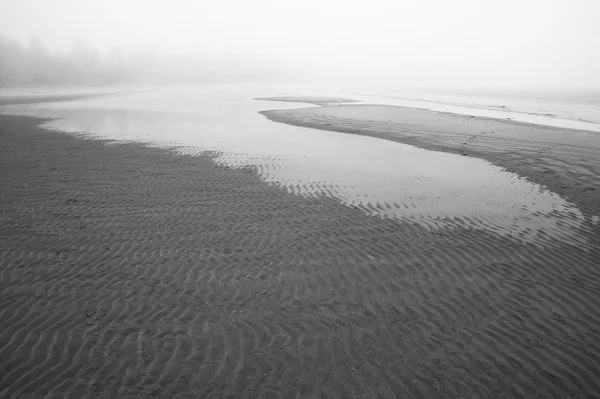 Playa en el Parque Nacional Pacific Rim. Vancouver. Canadá —  Fotos de Stock