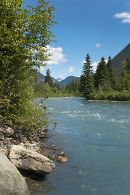 Nehir ve orman British Columbia ile manzara. Kanada