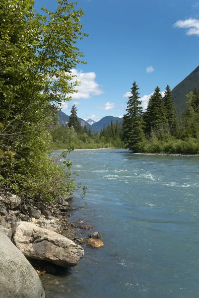 Paisaje con río y bosque en Columbia Británica. Canadá — Foto de Stock