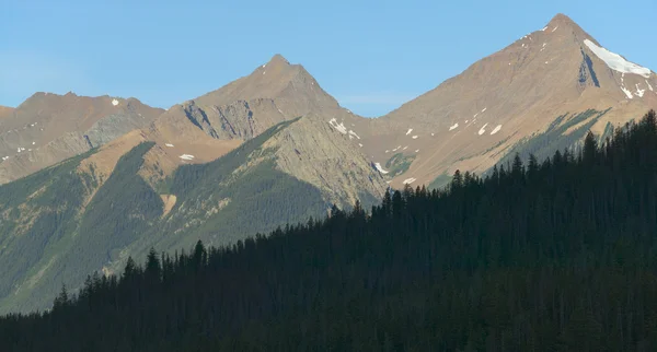 Landskap med skog i British Columbia. Fältet. Kanada — Stockfoto