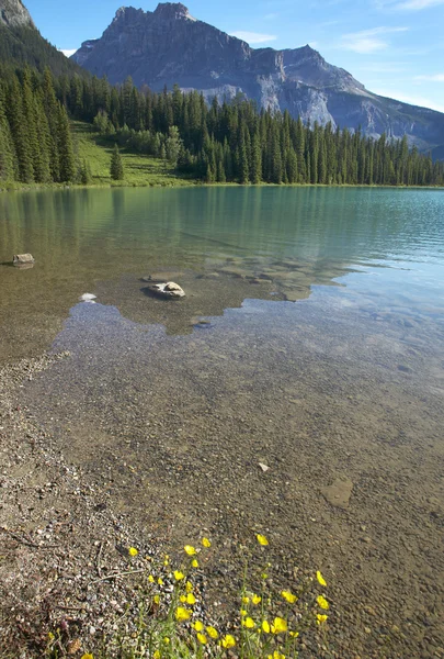 Emerald lake landskap. British Columbia. Kanada — Stockfoto