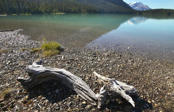 Smaragdgrüne Seenlandschaft mit totem Stamm. Britische Kolumbia. Kanada — Stockfoto