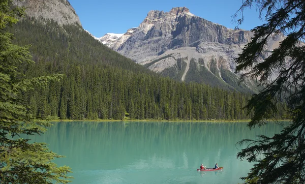 Emerald lake landskap. British Columbia. Kanada — Stockfoto