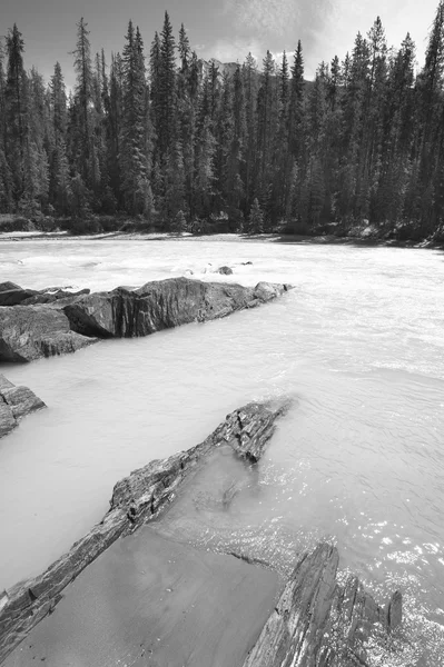 Paisaje canadiense con río y bosque. Columbia Británica. Caná. — Foto de Stock