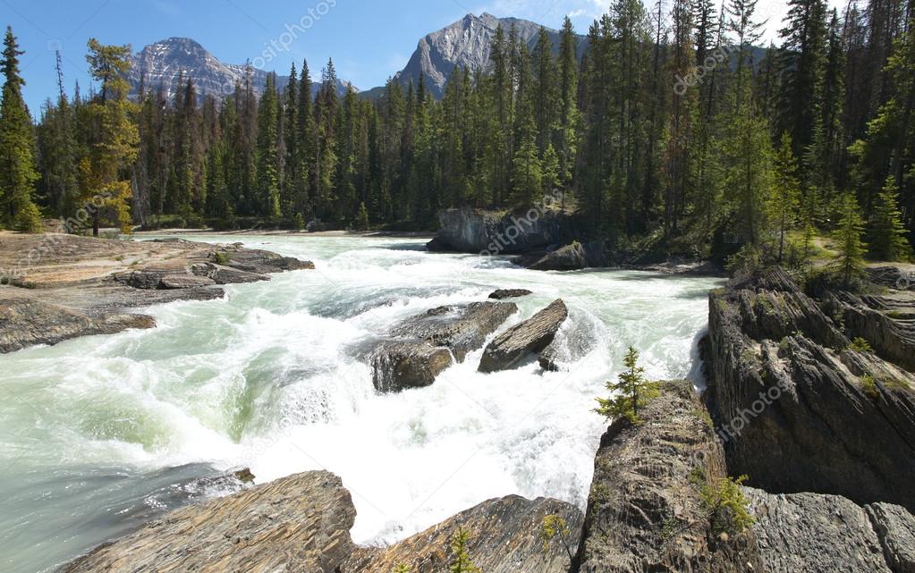 Canadian landscape with river and forest. British Columbia. Cana