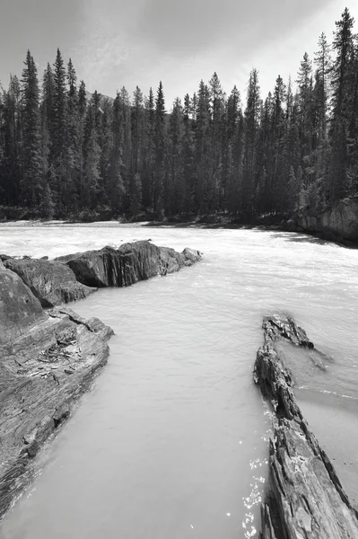 Kanadyjski krajobraz z rzeki i lasu. British Columbia. Cana — Zdjęcie stockowe