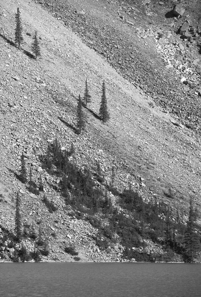 Moränenseenlandschaft. alberta. Kanada — Stockfoto