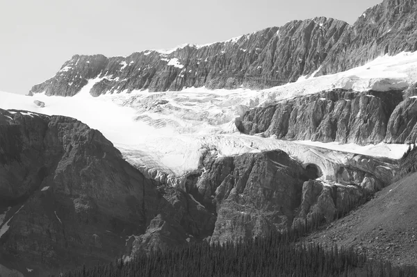 Crowfoot glaciären i Icefield parkway. Alberta. Kanada — Stockfoto