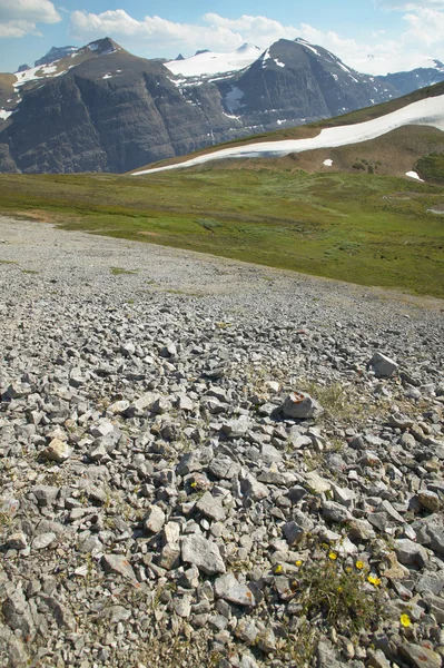 Kanadische Landschaft mit Gletscher. Eisfeld. alberta. kann — Stockfoto
