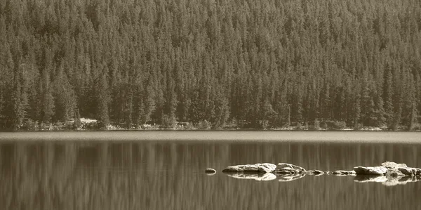 Paysage canadien au lac Pyraimd. Jasper. Alberta — Photo