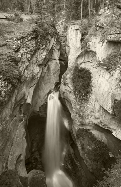 Paisaje canadiense en Maligne Canyon. Cascada. Jasper. Alberta — Foto de Stock