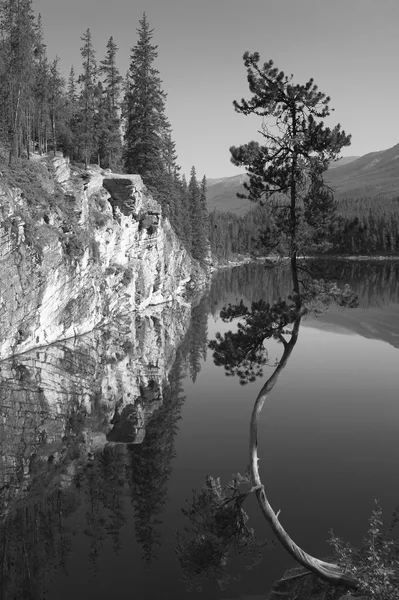 Paysage canadien avec lac et arbre. Alberta. Canada — Photo