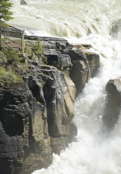 Paisaje canadiense en Athabasca cae. Alberta. Canadá — Foto de Stock