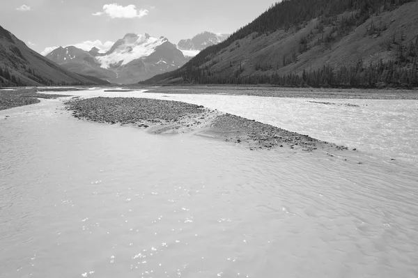 Columbia Icefield landskap i Alberta. Kanada — Stockfoto