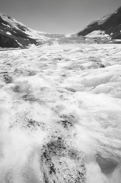 Columbia Icefield krajobraz w Albercie. Kanada — Zdjęcie stockowe