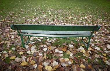 İspanya'da tezgah Park ile sonbahar yaprakları