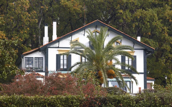 Asturias geleneksel evde ile kırsal manzara. İspanya — Stok fotoğraf