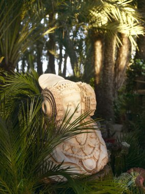 Dama de Elche şekilde palmiye ağaç bahçe. Alicante. İspanya